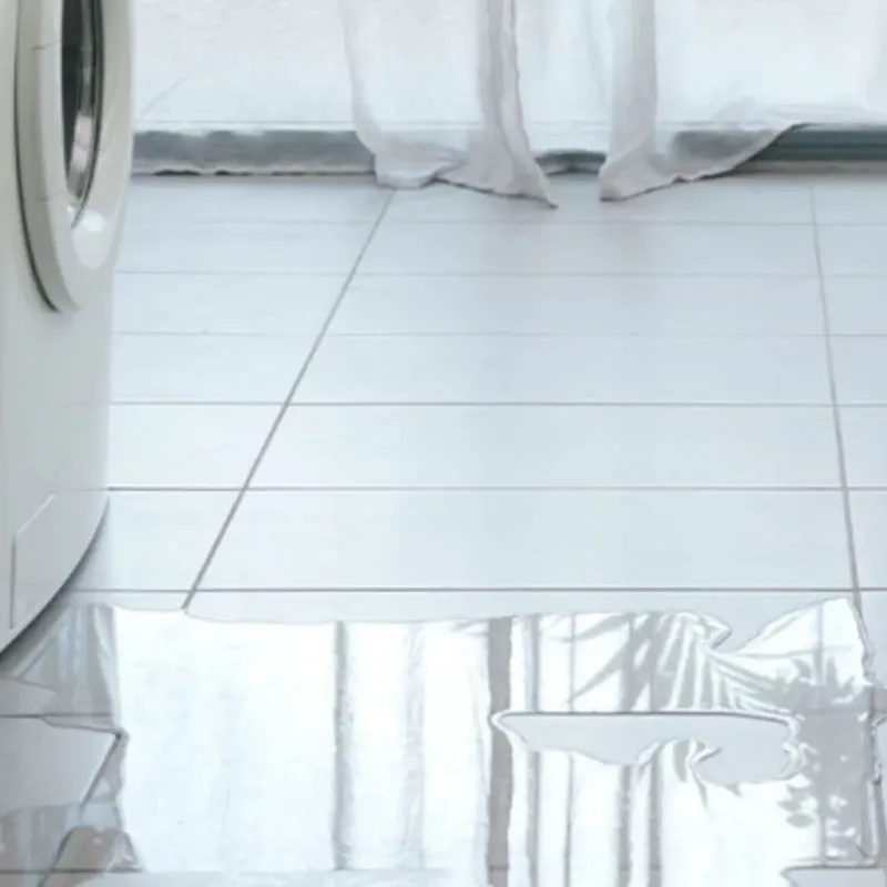 Appliance Leak Cleanup in Bolivia, NC