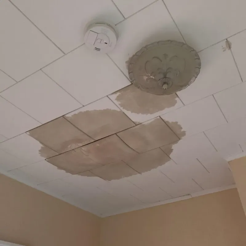 Ceiling Water Damage Repair in Bolivia, NC