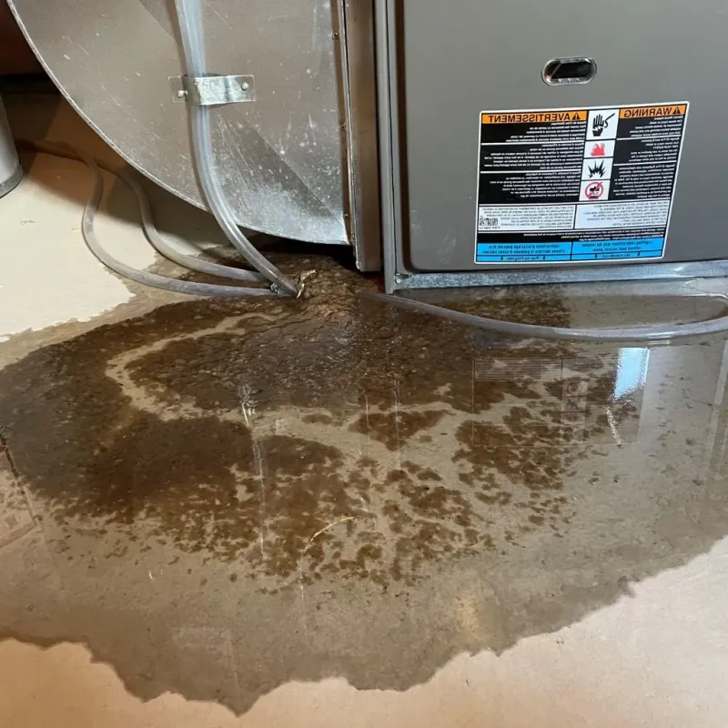 Pipe Burst and Leak Restoration in Bolivia, NC