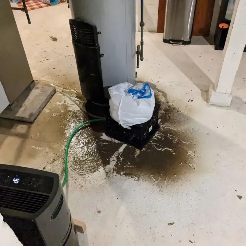 Sewage Backup Cleanup Service in Bolivia, NC